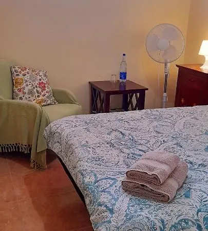 The Summer Treat Shared Compartido