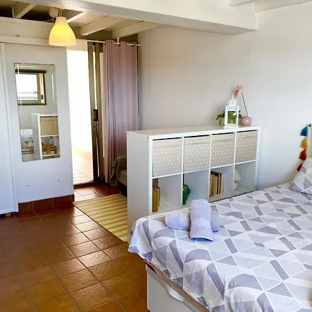 The Summer Treat Shared Compartido 3*