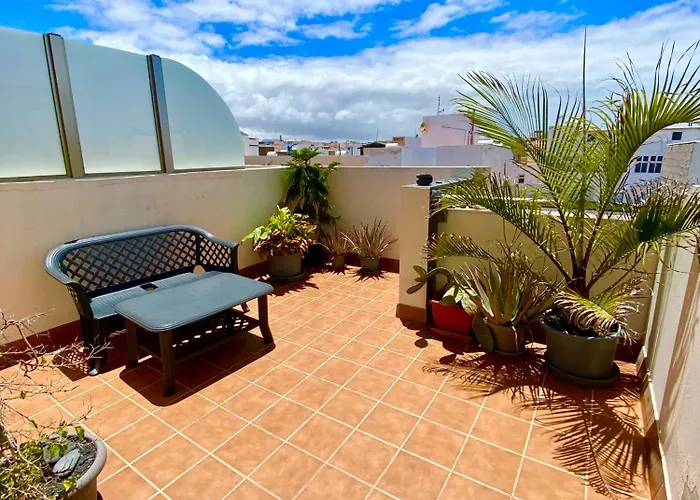 The Summer Treat Shared Compartido