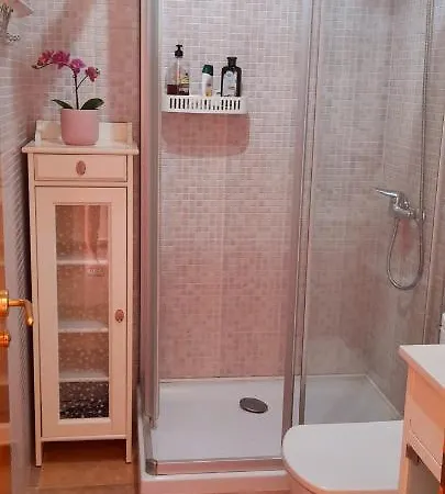 The Summer Treat Shared Compartido