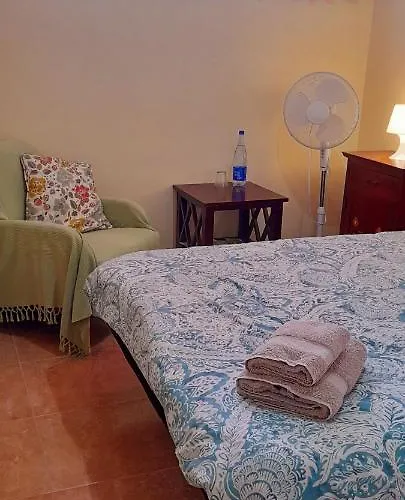 The Summer Treat Shared Compartido