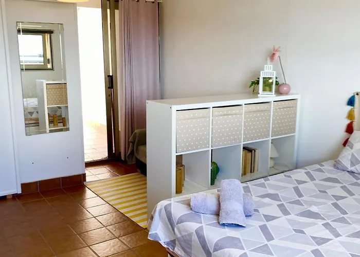 The Summer Treat Shared Compartido 3*